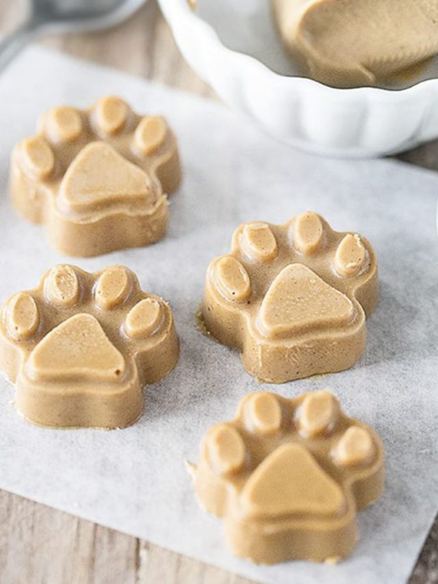 7 Easy Homemade Dog Treats You Can DIY at Home